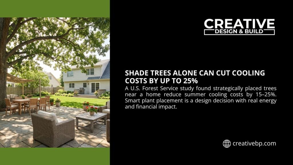 Beautiful backyard patio shaded by large mature trees next to house. Creative Design & Build illustration showing how shade trees can cut cooling costs by up to 25%.