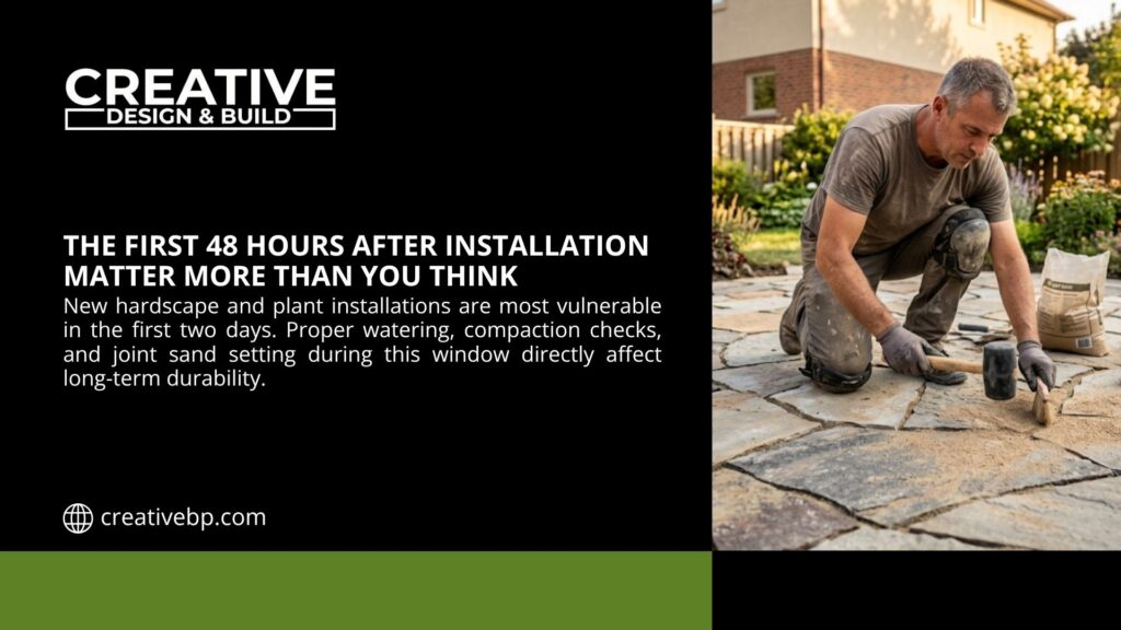 Landscaper kneeling on newly installed stone patio, compacting pavers with mallet during critical first 48 hours after installation. Creative Design & Build illustration.